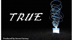 (image for) TRUE (Gimmicks and Online Instructions) by Mr. K & Secret Factory