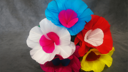 (image for) Blooming Bouquet (5 Blooms) by Tora Magic - Trick