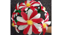 (image for) Diyana FLower by Black Magic - Trick