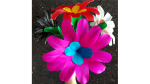 (image for) Classic Flower (No.4) by Black Magic - Trick