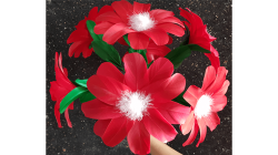 (image for) Red Flower by Black Magic - Trick