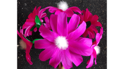 (image for) Violet Flower (No.2) by Black Magic - Trick