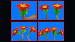 (image for) Changing Flowers (1/4) by Black Magic - Trick