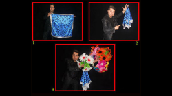 (image for) Appearing Bouquets from Hank (4) by Black Magic - Trick