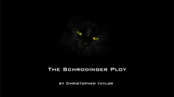 (image for) The Schrodinger Ploy by Christopher Taylor video DOWNLOAD