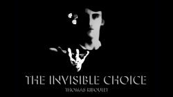 (image for) The Invisible Choice by Thomas Riboulet - Book