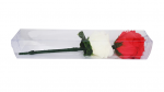 (image for) Color Changing Rose by JL Magic - Trick