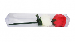 (image for) Color Changing Rose by JL Magic - Trick