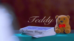 (image for) TEDDY (Blue) by Zamm Wong & Magic Action - Trick