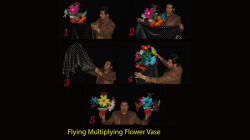 (image for) Flying Multiplying Flower Vase by Black Magic - Trick
