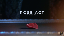 (image for) Visual Matrix AKA Rose Act Valorous Silver (Gimmick and Online Instructions) by Will Tsai and SansMinds - Trick