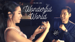 (image for) The Vault - Wonderful World by Yu Ho Jin video DOWNLOAD