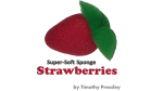 (image for) Super-Soft Sponge Strawberries by Timothy Pressley and Goshman - Trick