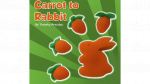 (image for) Sponge Carrot to Rabbit by Timothy Pressley and Goshman - Trick