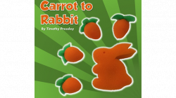 (image for) Sponge Carrot to Rabbit by Timothy Pressley and Goshman - Trick