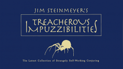 (image for) Treacherous Impuzzibilities by Jim Steinmeyer - Book