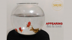 (image for) APPEARING FISH IN BOWL by Sorcier Magic