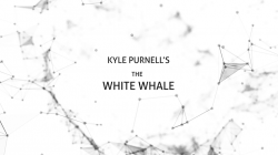 (image for) The White Whale by Kyle Purnell video DOWNLOAD