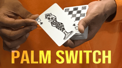 (image for) Magic Encarta Presents Palm Switch & Palm Control by Vivek Singhi