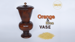 (image for) Orange and Rice Vase by Sorcier Magic