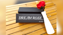 (image for) Dream Rose by JL Magic - Trick