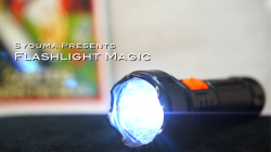 (image for) Magic Flashlight (2pk) by Tejinaya Magic - Trick