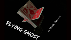 (image for) Flying Ghost by Mario Tarasini video DOWNLOAD