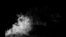 (image for) No Smoking by Robby Constantine video DOWNLOAD