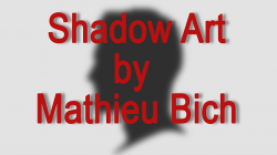 (image for) Shadow Art (Bat Man) by Mathieu Bich - Trick