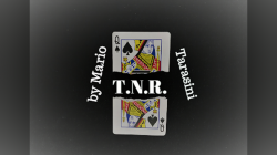 (image for) T.N.R. by Mario Tarasini video DOWNLOAD