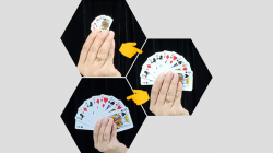 (image for) REVERSE CARD by JL Magic - Trick