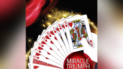 (image for) MIRACLE TRIUMPH by Syouma - Trick