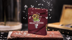 (image for) Breakthrough Signature Edition Playing Cards by Emily Sleights