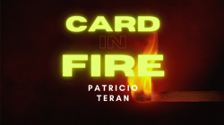 (image for) Card in Fire by Patricio Teran video DOWNLOAD