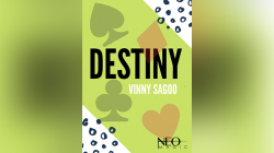 (image for) Destiny by Vinny Sagoo eBook DOWNLOAD