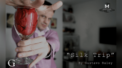 (image for) Silk Trip by Gustavo Raley video DOWNLOAD