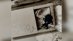 (image for) Letter V by Handy Altan -TRICK