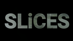 (image for) SLiCES by Ragil Septia & Risky Albert video DOWNLOAD