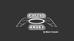 (image for) Flying Angel by Mario Tarasini video DOWNLOAD