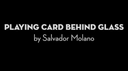 (image for) Playing Card Behind Glass by Salvador Molano video DOWNLOAD