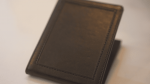 (image for) Chameleon Skin Wallet by Jim Steinmeyer - Trick