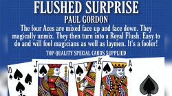 (image for) FLUSHED SURPRISE by Paul Gordon - Trick