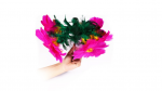 (image for) Flower Salute by 7 MAGIC - Trick