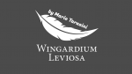 (image for) Wingardium Leviosa by Mario Tarasini video DOWNLOAD