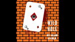 (image for) Wild Hole by Alan Ayala video DOWNLOAD