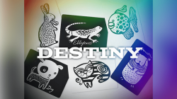 (image for) Destiny by Ebbytones video DOWNLOAD