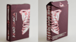 (image for) Anatomica Playing Cards