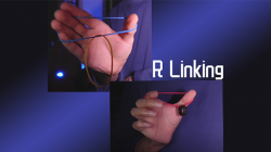 (image for) R Linking by Ziv video DOWNLOAD