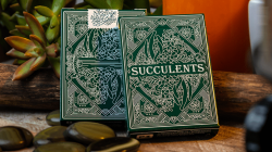 (image for) Succulents Playing Cards
