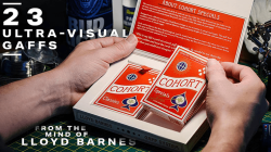 (image for) The Gaff System by Lloyd Barnes